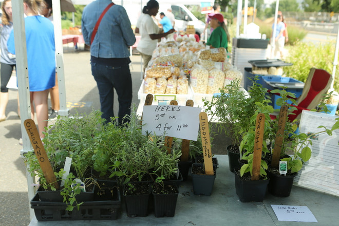 Thực phẩm sạch qua góc nhìn 'Trang trại đến Bàn ăn' của người Mỹ ảnh 6