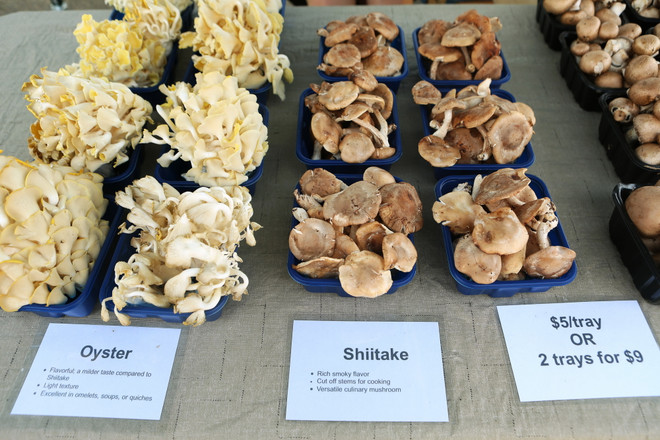 Thực phẩm sạch qua góc nhìn 'Trang trại đến Bàn ăn' của người Mỹ ảnh 9