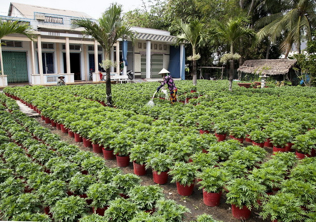 Đại hội XIII: Kiên Giang tập trung nguồn lực phát triển vùng đồng bào ảnh 2