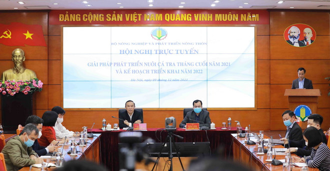 Quý 1/2022, có thể thiếu nguyên liệu cá tra cho chế biến ảnh 1