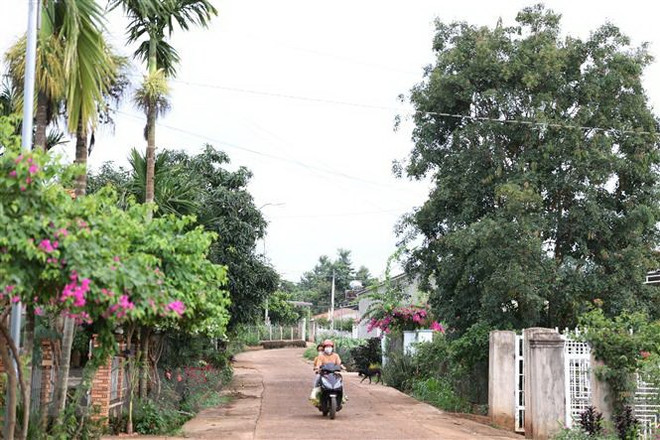 Để đồng bào các dân tộc ở Tây Nguyên mãi bình yên và phát triển ảnh 3