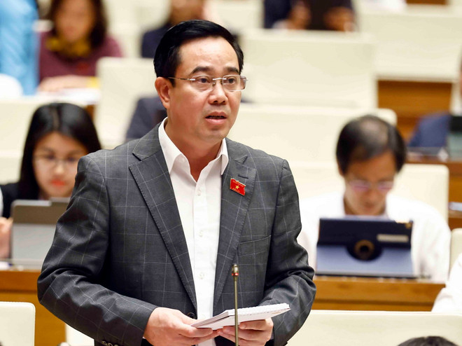 ttxvn_dai bieu quoc hoi.jpg