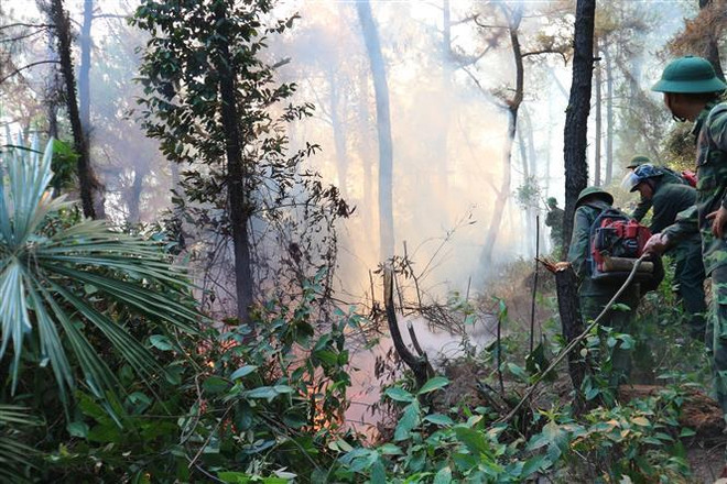 Đến lượt Hà Tĩnh đón mưa giải nhiệt, cơ bản dập tắt cháy rừng ảnh 1