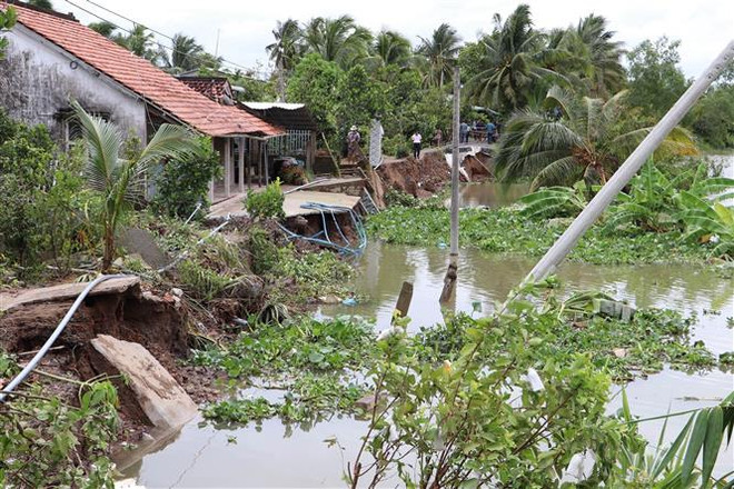 Tiền Giang: Triều cường gây sạt lở nặng, đe dọa cuộc sống người dân ảnh 1