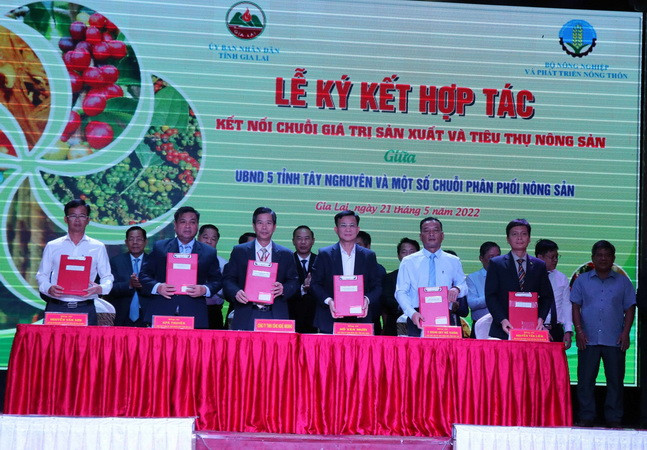 Kết nối chuỗi giá trị sản xuất, tiêu thụ nông sản vùng Tây Nguyên ảnh 2