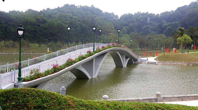 Tiến hành Lễ Giỗ Đức Quốc Tổ Lạc Long Quân, dâng hương Tổ Mẫu Âu Cơ ảnh 3