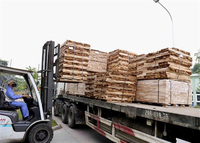 Việt Nam sẵn sàng cho việc triển khai các hiệp định EVFTA, EVIPA ảnh 2