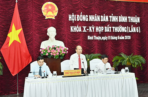 Bình Thuận thông qua 9 Nghị quyết quan trọng tại kỳ họp bất thường ảnh 1