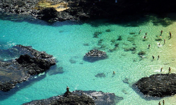 Brazil: Du khách bị cá mập cắn mất cánh tay khi đang lặn ảnh 1