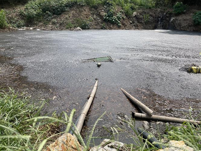 Yên Bái: Cần xử lý dứt điểm tình trạng ô nhiễm tại trang trại lợn ảnh 2