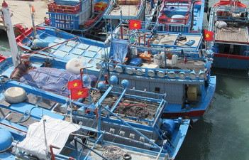 Khắc phục “thẻ vàng”: Cấp bách chống khai thác hải sản bất hợp pháp ảnh 2