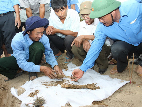 Họp Ban Chỉ đạo cấp Nhà nước về xác định hài cốt liệt sỹ ảnh 1