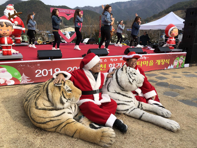 Hàn Quốc: Làng ông già Noel chính thức mở cửa đón khách ảnh 2