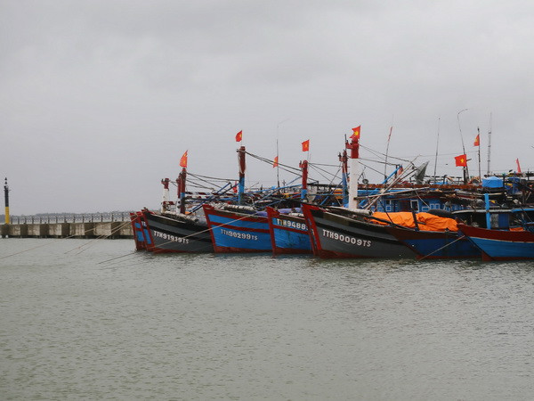 Mưa lũ làm sạt lở nhiều bờ sông, bờ biển ở Thừa Thiên-Huế ảnh 1