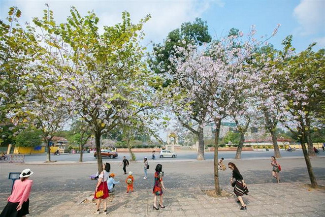 Bắc Bộ sáng sớm và đêm trời lạnh, Nam Bộ đề phòng thời tiết nguy hiểm ảnh 1