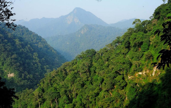 ttxvn_khu bao ton xuan lien.jpg