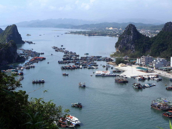 Một khách du lịch nước ngoài mất tích trên Vịnh Hạ Long ảnh 1