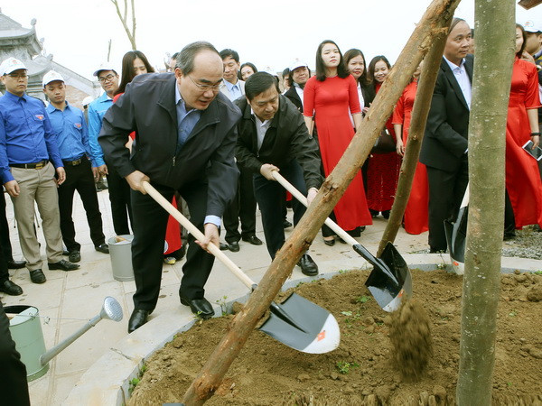 Cần làm cho việc bảo vệ rừng, trồng cây thành nếp sống của người Việt ảnh 1