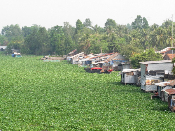 Nỗ lực cải thiện chất lượng nguồn nước sông Vàm Cỏ Đông ảnh 1