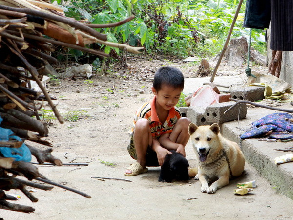Cảnh báo nguy cơ bùng phát bệnh dại trên đàn chó tại Nam Định ảnh 1