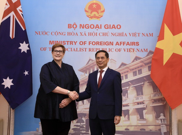 “Phụ nữ, Hòa bình và An ninh: Trên đường phục hồi sau COVID-19” ảnh 1