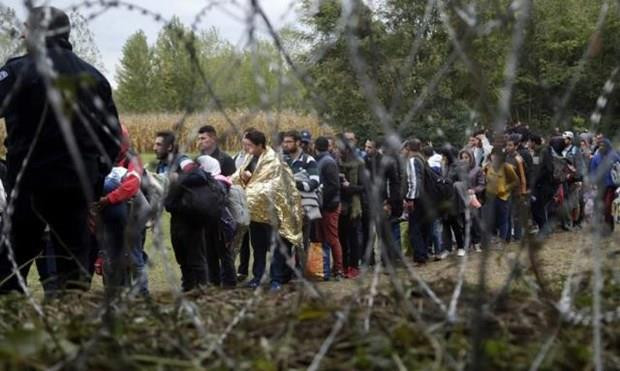 Người Anh đánh giá tích cực nhất châu Âu về lợi ích từ nhập cư ảnh 1