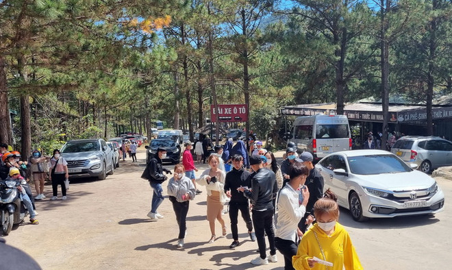 Đà Lạt đề nghị du khách liên lạc đường dây nóng để tìm phòng nghỉ ảnh 1