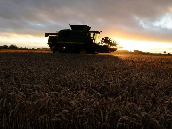 Nước Anh trước nguy cơ mất nguồn lao động EU do Brexit ảnh 1