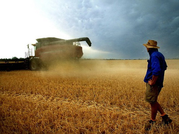 50 triệu ha đất nông nghiệp Australia có sở hữu nước ngoài ảnh 1