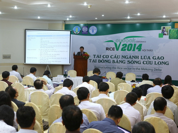 Tái cơ cấu sản xuất lúa gạo ở Đồng bằng sông Cửu Long ảnh 1