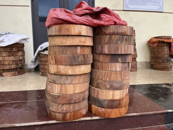 Điện Biên: Bắt 4 đối tượng vận chuyển trái phép hơn 100 lóng gỗ nghiến ảnh 1