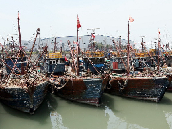 Tàu cá Trung Quốc neo tại cảng Manseok, Incheon sau khi bị Hàn Quốc bắt giữ vì hoạt động trái phép. (Ảnh: Yonhap/TTXVN) Hàn Quốc sẽ dùng vũ lực với tàu cá Trung Quốc vi phạm lãnh hải ảnh 1