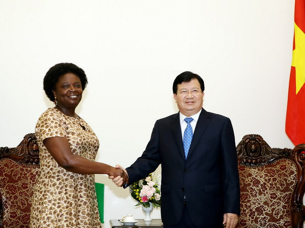 Việt Nam luôn coi trọng hiệu quả sử dụng nguồn vốn vay của WB ảnh 1