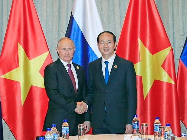 Việt Nam ưu tiên củng cố quan hệ Đối tác chiến lược toàn diện với Nga ảnh 1
