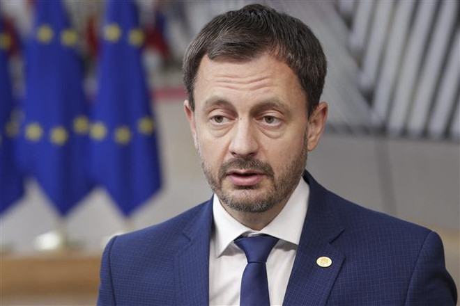 Slovakia: Tỷ lệ cử tri tham gia trưng cầu ý dân về bầu cử sớm quá thấp ảnh 1