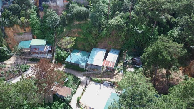 Đà Lạt làm rõ vụ việc nhiều căn nhà không phép 'mọc' giữa rừng thông ảnh 1