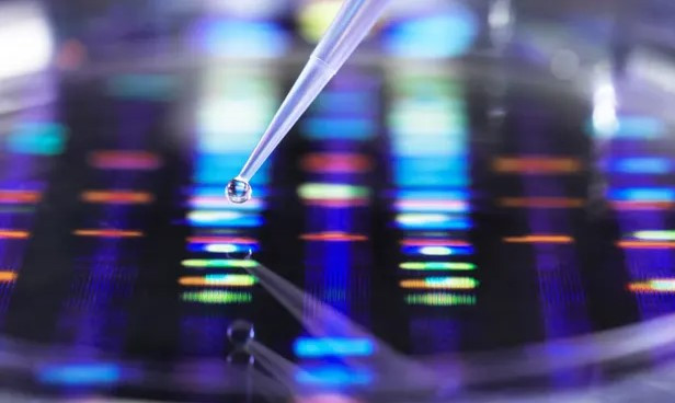 AI đã được sử dụng trong quá trình chế thuốc chống siêu vi khuẩn Acinetobacter baumannii. (Nguồn: Telegraph) Tạo thành công thuốc chống siêu vi khuẩn nguy hiểm nhờ AI ảnh 1