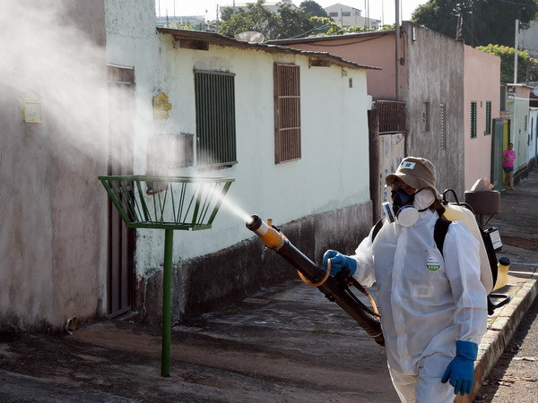 Brazil bắt buộc báo cáo các trường hợp nhiễm virus Zika ảnh 1
