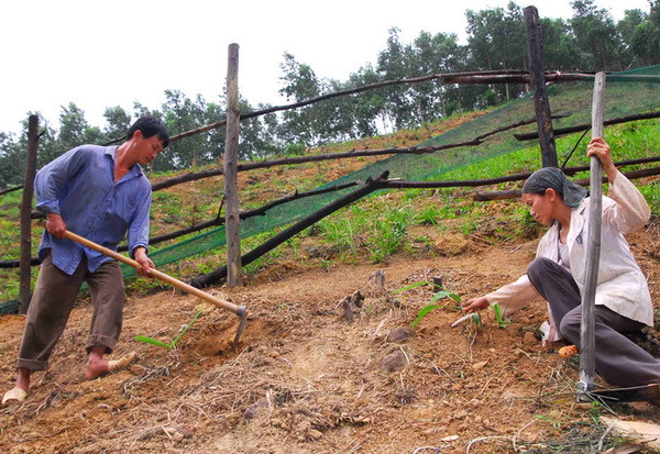 Tình trạng xói mòn đất ở Đắk Lắk ngày càng nghiêm trọng ảnh 1