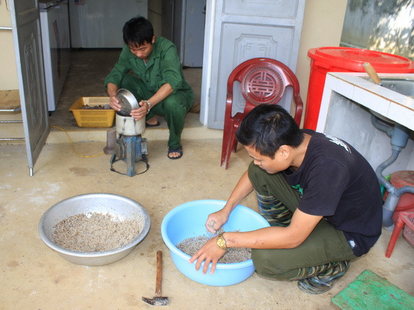 Cứu hộ tê tê tại Vườn quốc gia Cúc Phương: Khó khăn chồng chất ảnh 1