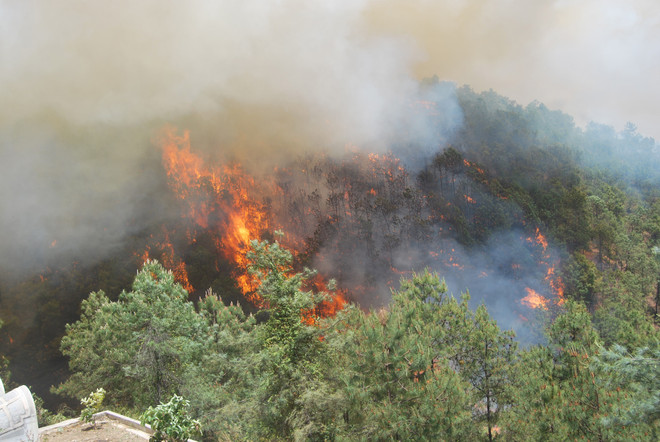[Photo] Hơn 2.500 người tham gia chữa cháy rừng ở Vân Nam ảnh 3