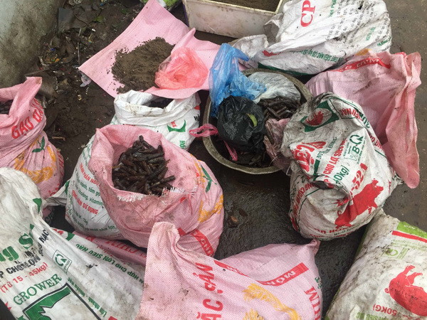 Khẩn trương xử lý 2 tấn phế liệu là vật liệu nổ tại huyện Khoái Châu ảnh 1