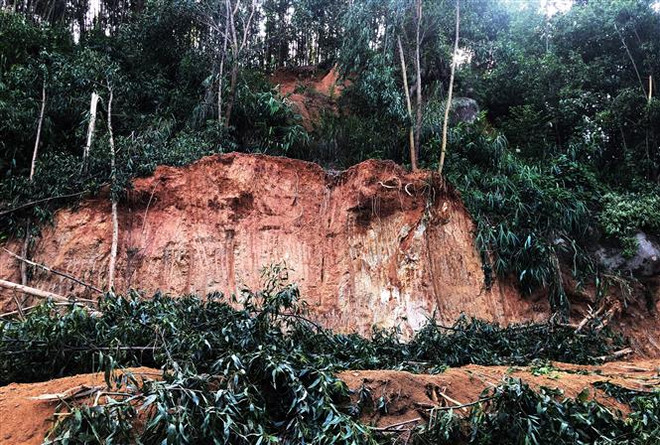 Quảng Ngãi: Huyện Sơn Tây di dời 870 hộ dân vùng có nguy cơ sạt lở cao ảnh 1