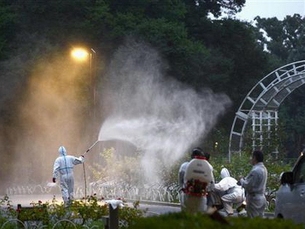 Nhật Bản: Xuất hiện bệnh sốt xuất huyết ở thủ đô Tokyo ảnh 1