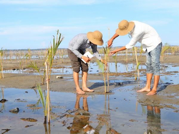 20 năm Việt Nam tham gia hợp tác ASEAN về môi trường ảnh 1