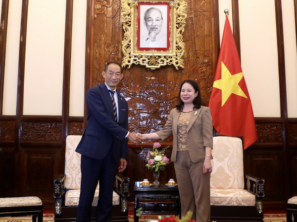 Phó Chủ tịch nước tiếp Giám đốc WHO khu vực Tây Thái Bình Dương ảnh 1