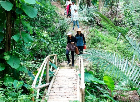 Bình Thuận phát triển sản phẩm du lịch gắn với nông nghiệp bền vững ảnh 1