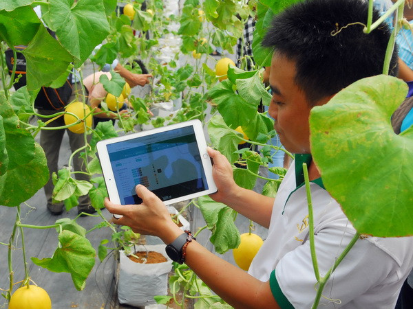 Tôn vinh các sản phẩm nông nghiệp tiêu biểu năm 2015 ảnh 1