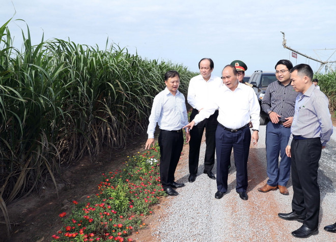 Thủ tướng thăm một số mô hình nông nghiệp công nghệ cao tại Tây Ninh ảnh 2