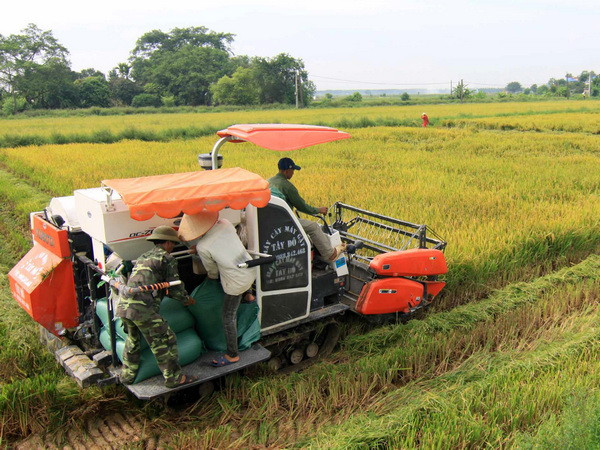 Thủ tướng chỉ đạo tổng điều tra nông thôn, nông nghiệp và thủy sản ảnh 1